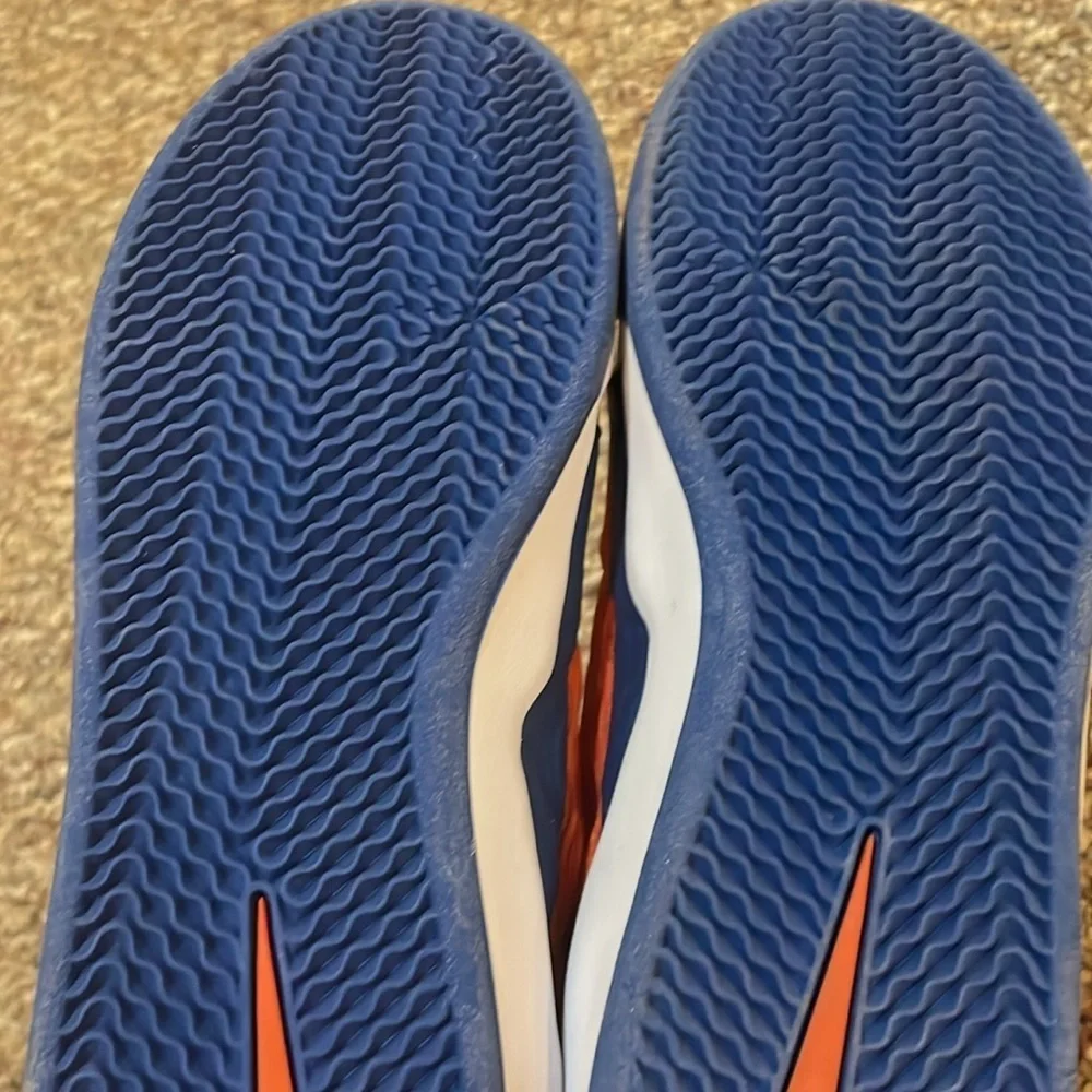 Unisex New Nike SB Ishod Wair Premium Shoes